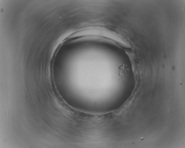 X0000075840148200610061855