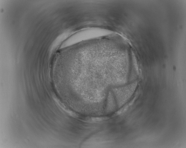 X0000075840149200610061856