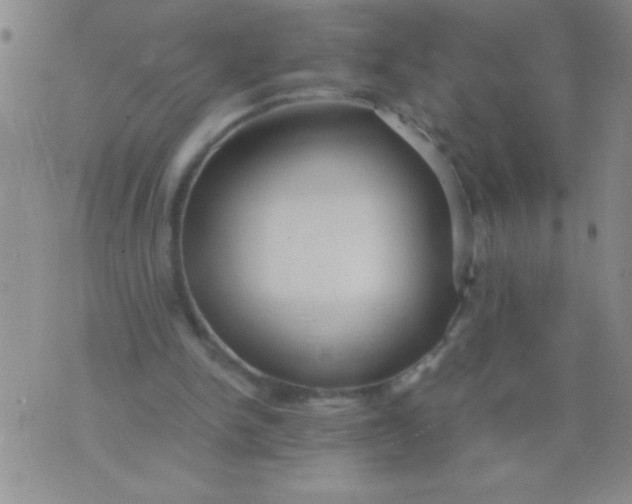 X0000075840150200610061856