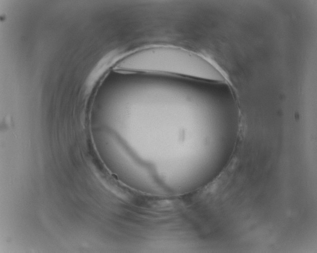 X0000075840151200610061856