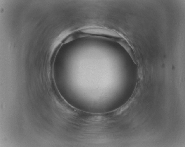 X0000075840152200610061856