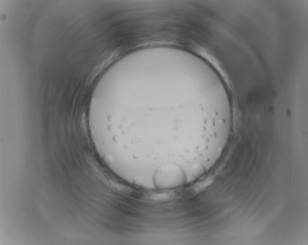 X0000075840153200610061856