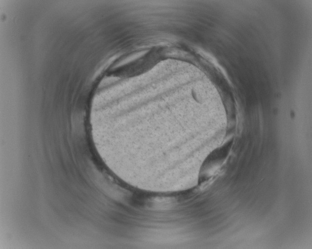 X0000075840154200610061856