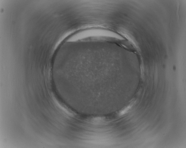 X0000075840156200610061856