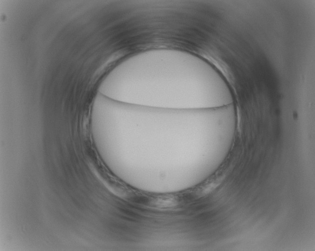 X0000075840157200610061856