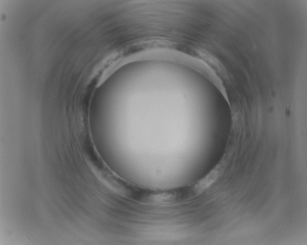 X0000075840158200610061856