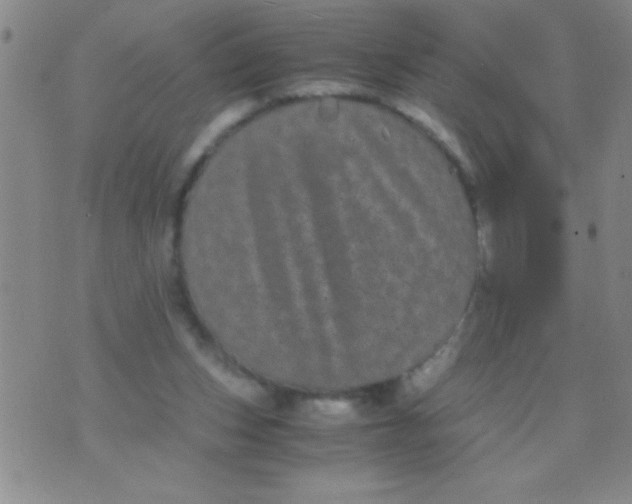 X0000075840159200610061856