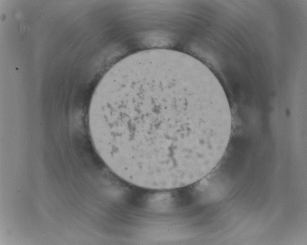 X0000075840162200610061856