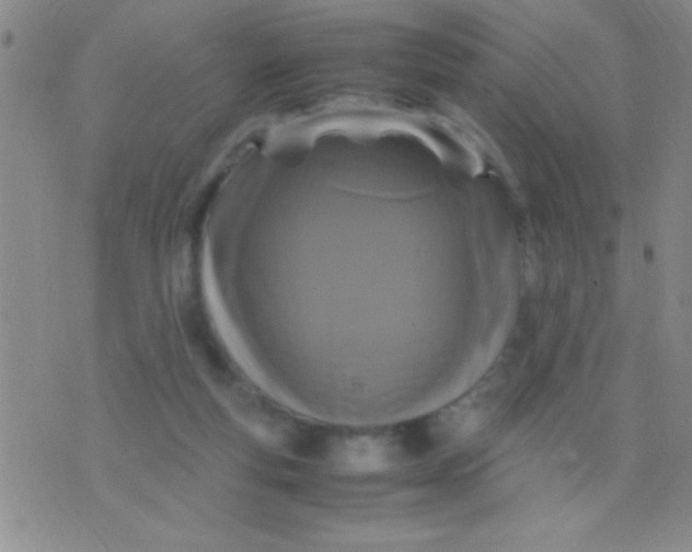 X0000075840163200610061856