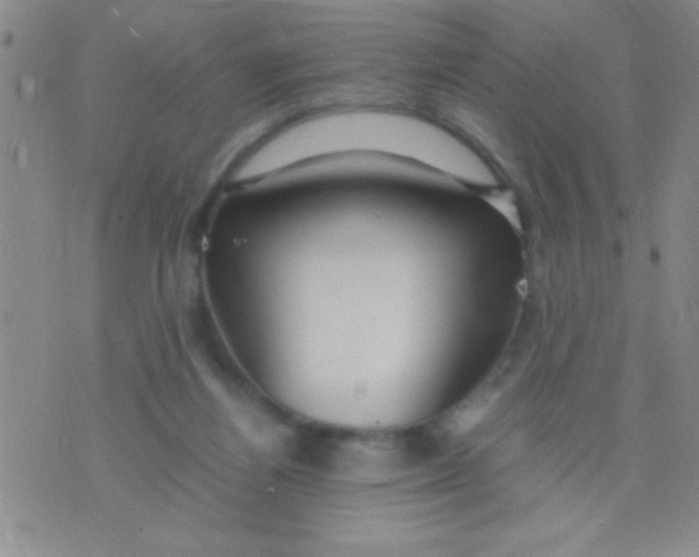 X0000075840164200610061856