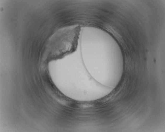 X0000075840165200610061856