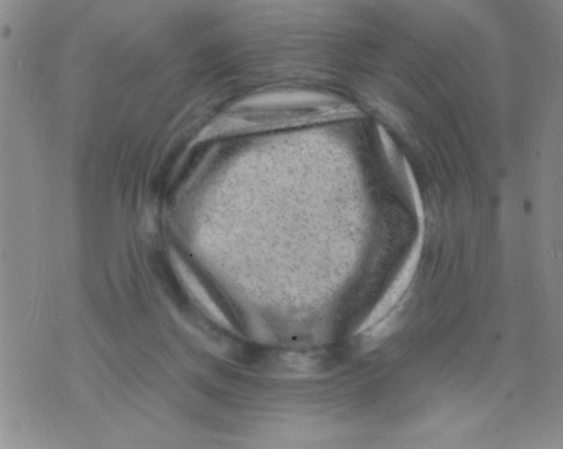 X0000075840166200610061856