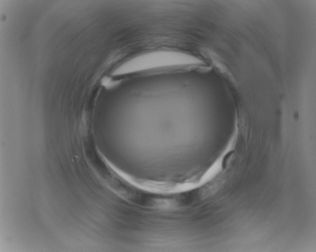 X0000075840167200610061856