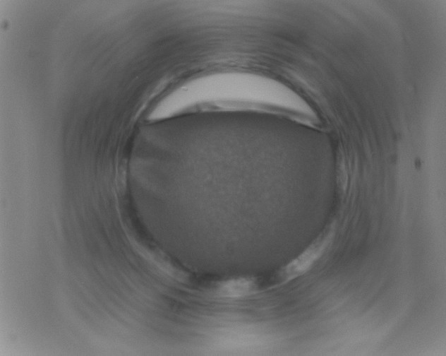 X0000075840168200610061856