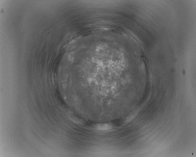 X0000075840169200610061856