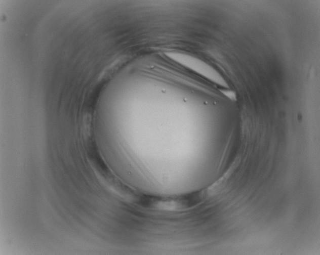 X0000075840171200610061856