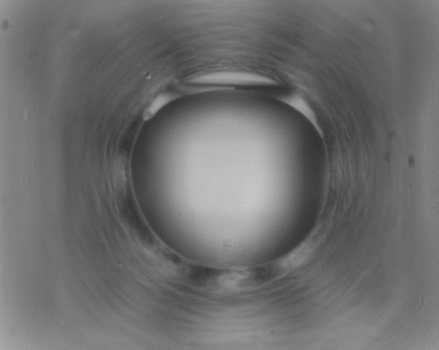 X0000075840172200610061856