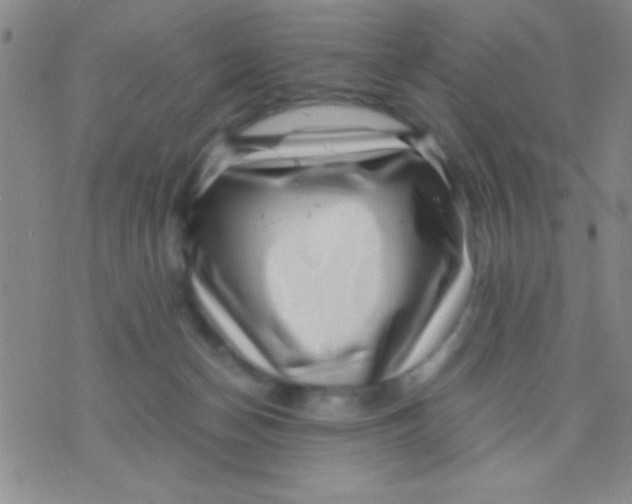 X0000075840174200610061856