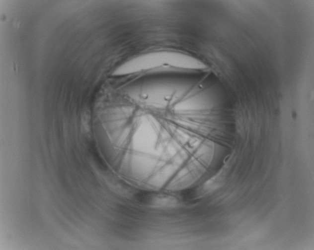 X0000075840175200610061856