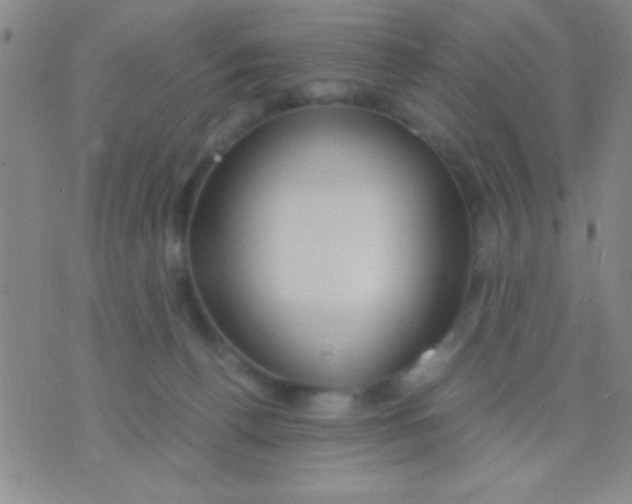 X0000075840176200610061856