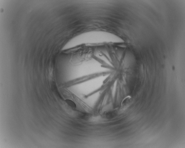 X0000075840177200610061856