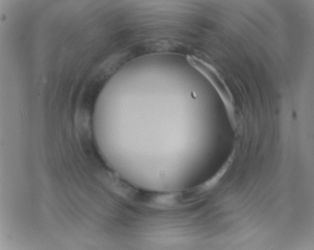 X0000075840178200610061856