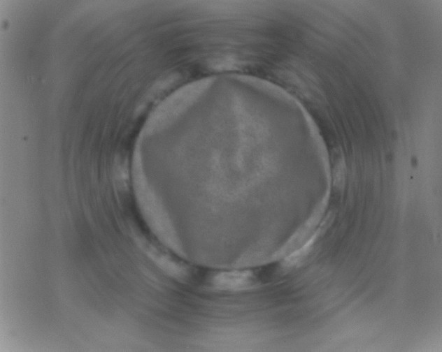 X0000075840179200610061856