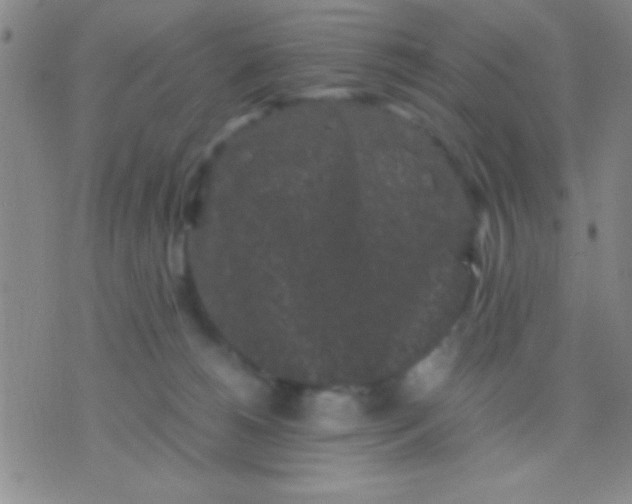 X0000075840180200610061856