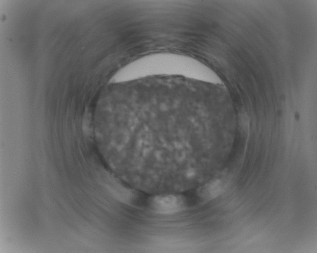 X0000075840181200610061856