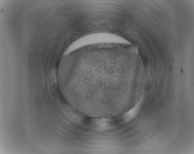 X0000075840182200610061856