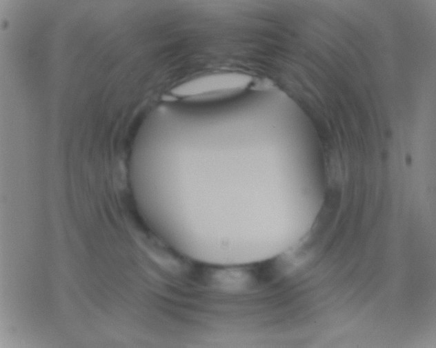 X0000075840183200610061856