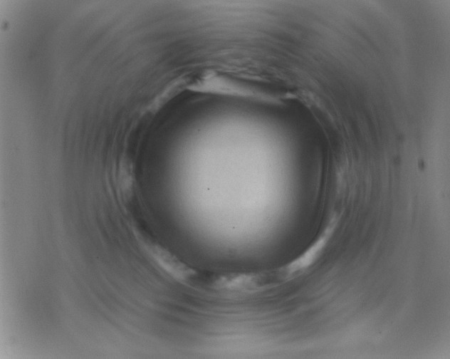 X0000075840186200610061856