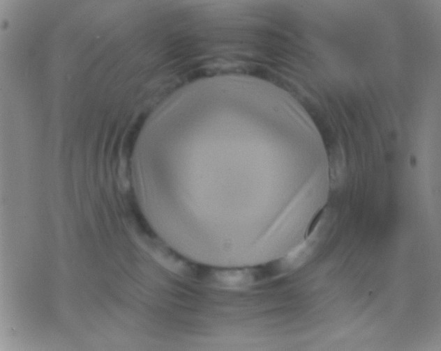 X0000075840187200610061856