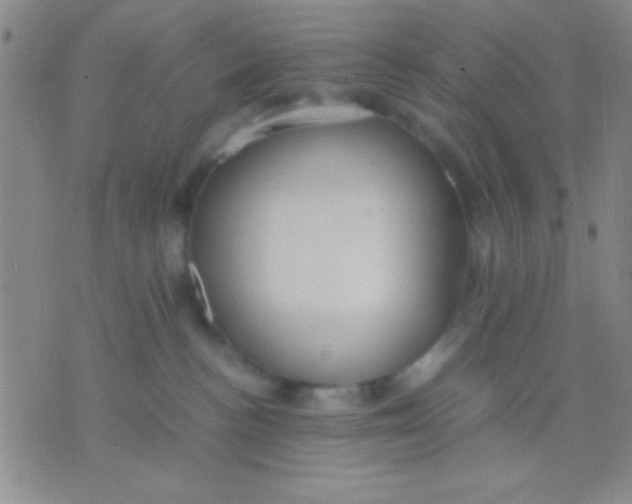 X0000075840188200610061856