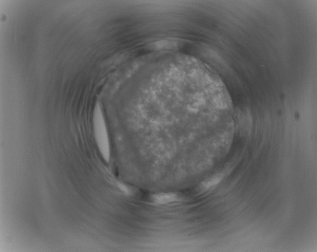 X0000075840189200610061856