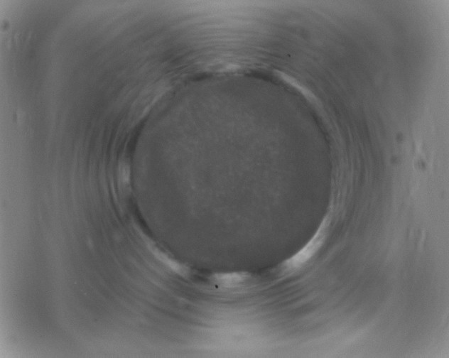 X0000075840192200610061856