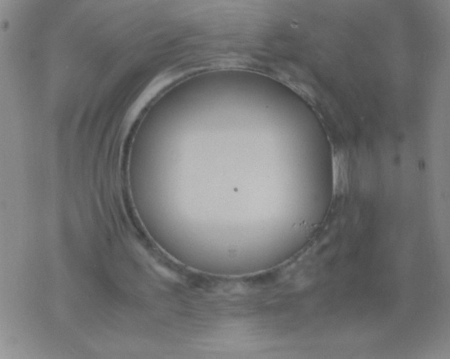 X0000075840195200610061855