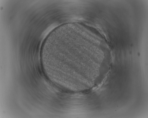 X0000075840196200610061855