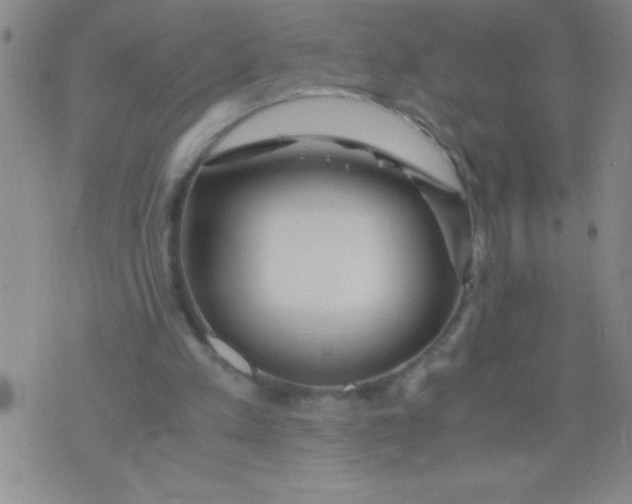 X0000075840197200610061855