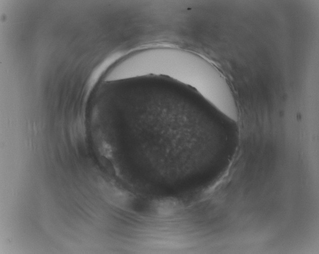 X0000075840200200610061855