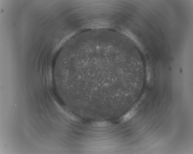 X0000075840202200610061855