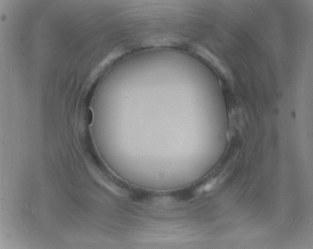 X0000075840203200610061855