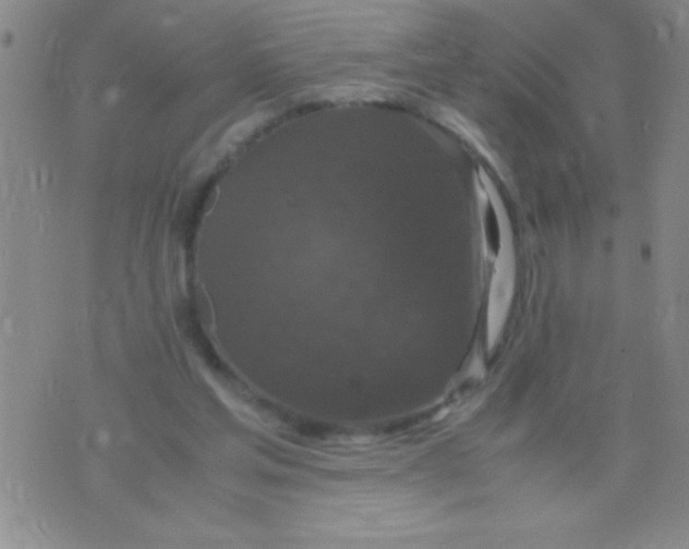 X0000075840205200610061855