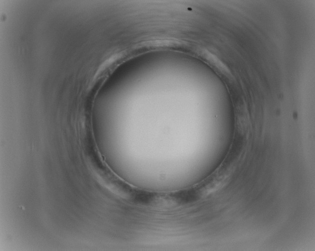 X0000075840207200610061855