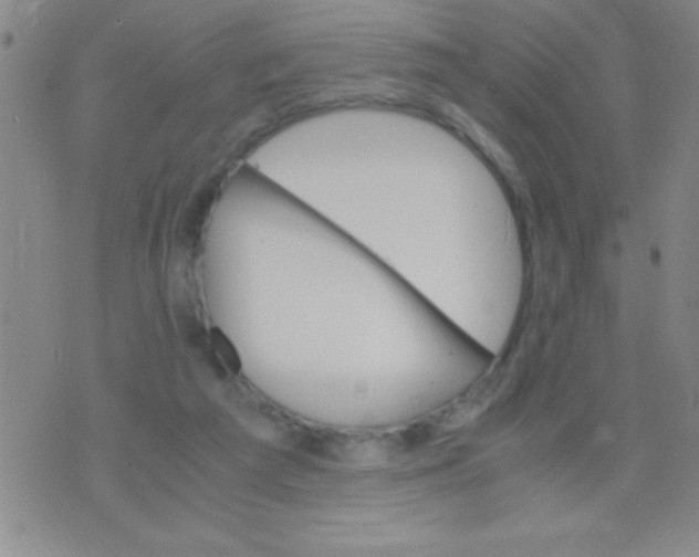 X0000075840209200610061855