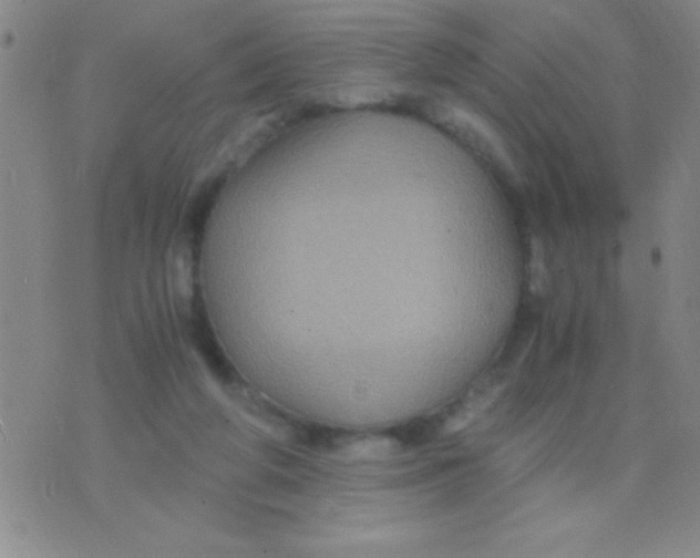 X0000075840210200610061855