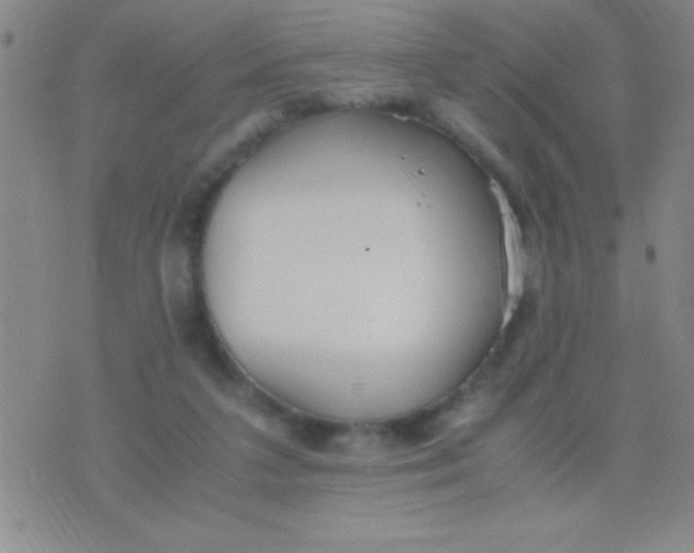 X0000075840211200610061855