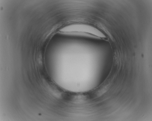 X0000075840212200610061855