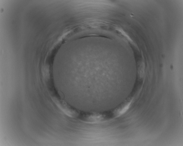 X0000075840213200610061855