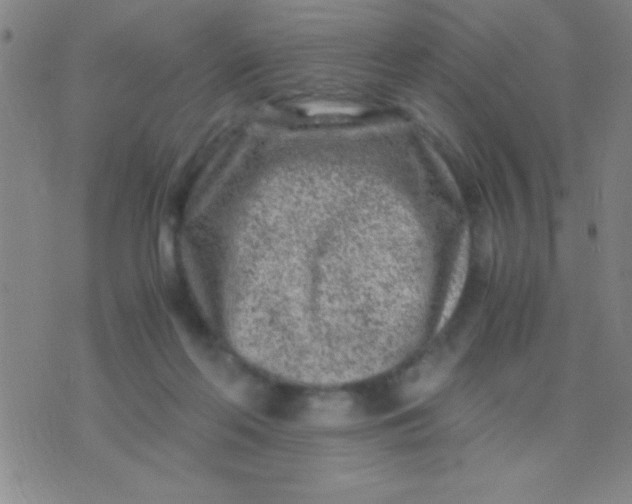 X0000075840214200610061855